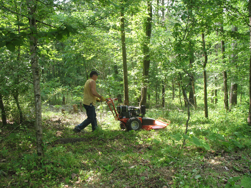 A DR walk behind mower is great for attacking parasols in rough terrain.
